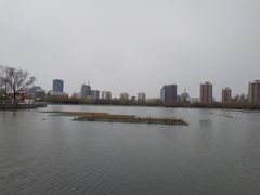 -莲花池公园