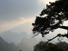 -大连天门山国家森林公园
