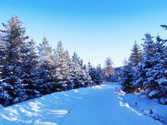 -北极村旅游风景区