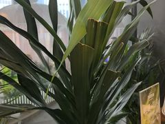 -天山传奇新疆菜(SKLP店)