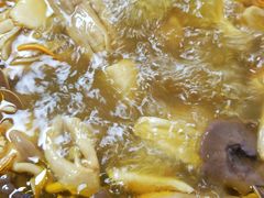 -菌极鲜野生菌火锅店(阳明祠店)