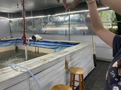 -小象钓虾·营地烧烤(洛溪店)