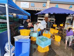 -黄沙水产交易市场