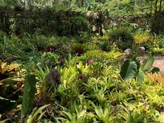 -中国科学院西双版纳热带植物园