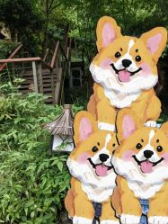 点击看大图 -尚圣月子会所·庄园式月子中心(萧山湘湖店)