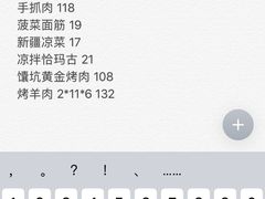 -巴依老爷新疆美食(望京小街店)