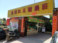 门面-荔枝红五号农庄