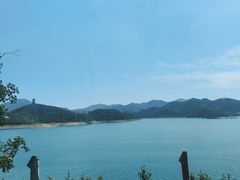 -望湖烤鱼