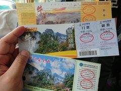 -牛背梁国家森林公园