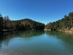 -四明山国家森林公园