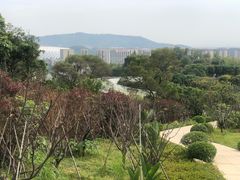 -飞凤山奥体公园