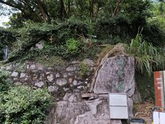 -梧桐山风景名胜区