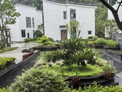 -石台牯牛降景区