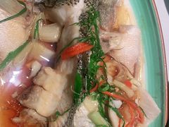 -大榕树下顺德菜(融创茂店)