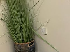 -清沐SPA生活馆(观前街店)