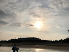 -日照海滨国家森林公园
