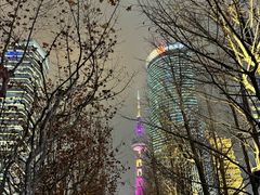 -陆家嘴中心绿地
