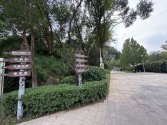 -北京张裕爱斐堡酒庄