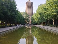 -玲珑塔公园