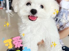 -芭比堂动物医院广州顽皮分院
