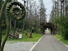 -东平国家森林公园
