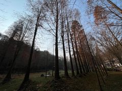 -素山寺森林公园