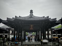 -大唐贡茶院