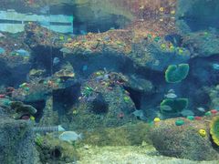 -沙沙哗啦海洋馆(华宇百花谷店)