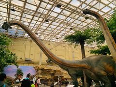 -国家自然博物馆