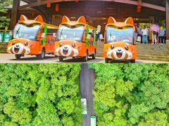 -普洱太阳河森林公园