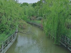 -南汇桃花村