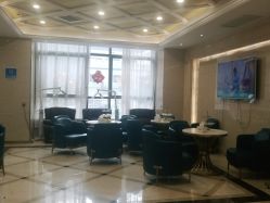 -碧莲盛·不剃发植发