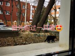 -肉串汪(月坛店)