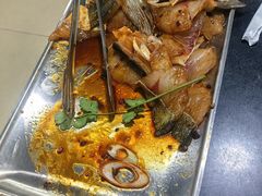-秦巴石锅鱼(文化南路店)