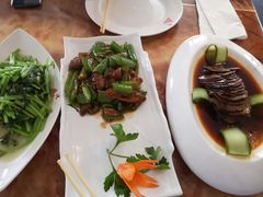 尖椒炒大肠-新阳光大酒店