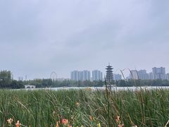 -洋湖国家湿地公园