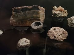 -正佳自然科学博物馆