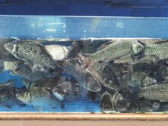 -皮记海鲜1995(寮步店)