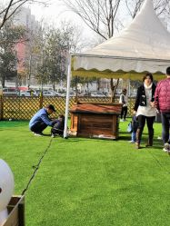 -萌宠亲子动物乐园(槐房万达店)