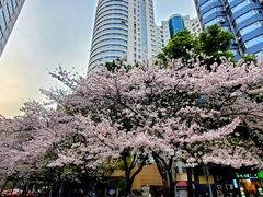 -玛格萝妮比萨屋(四平店)