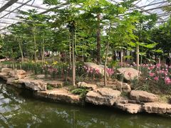 -南通洲际绿博园