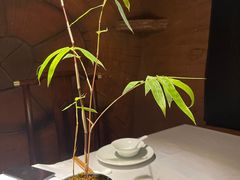 -山壹竹庭院餐厅