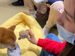 -逗柴咖啡屋·狗咖猫咖宠物桌游