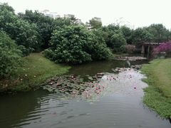 -白沙门生态公园