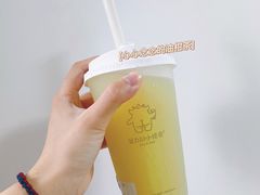 山泉油柑（绿屁屁）-茶力的小怪兽(梅林卓悦汇店)