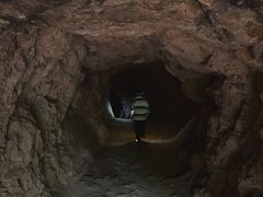 -上海佘山国家森林公园天马山园