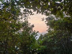 -梧桐山风景名胜区