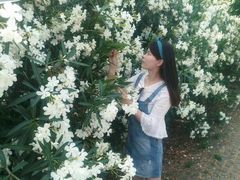 -长田漾湿地公园