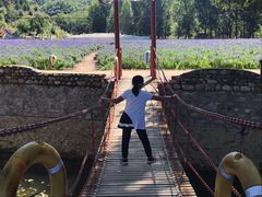 -紫海香堤香草艺术庄园