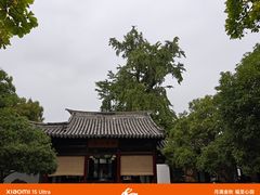 -常熟方塔园